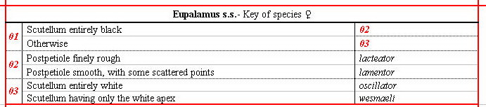 - - - OXYPYGI - Eupalmus - ma clé - définitive - Image.jpg