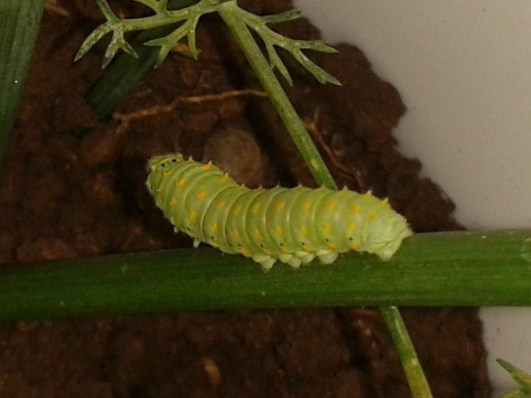 20130923_150113 - Copia.jpg