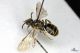 2013_09_25_06755.jpg