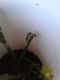 20130925_185715.jpg
