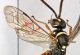 2013_09_25_06742.jpg
