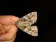 20130928_224225.jpg