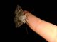 20130928_224245.jpg