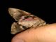 20130928_224344.jpg