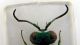 DSCF4054.JPG