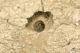 2011_05_22_9351.jpg