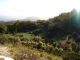 _Monte_Morra_4-XI-2008_OL02.JPG
