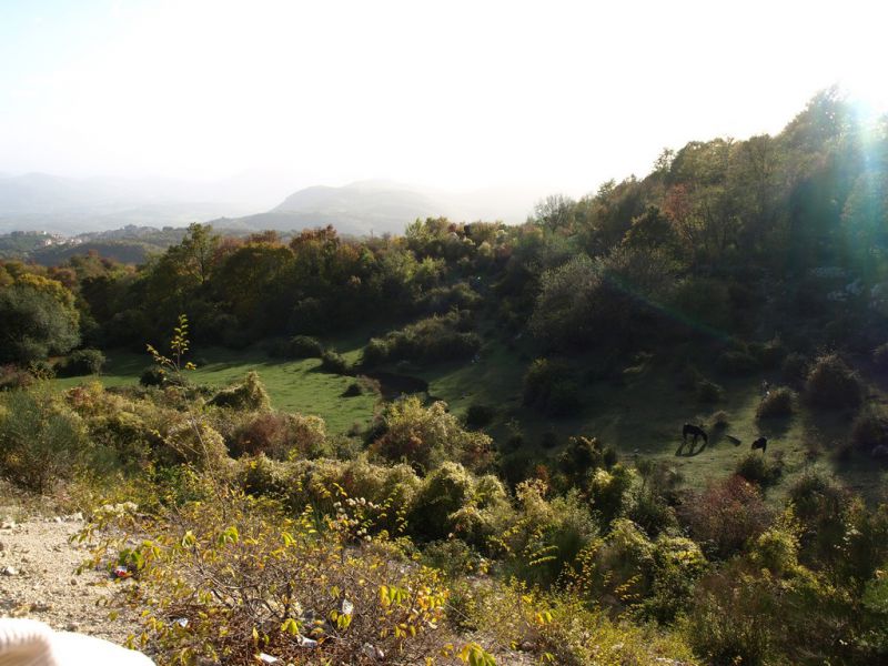 _Monte_Morra_4-XI-2008_OL02.JPG