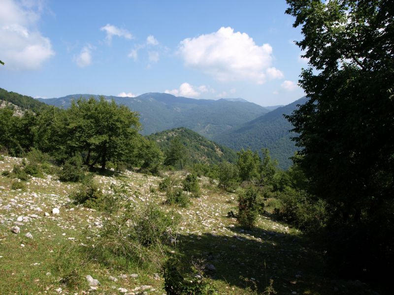 _Monte_Morra_13-VII-2010_OL033.JPG