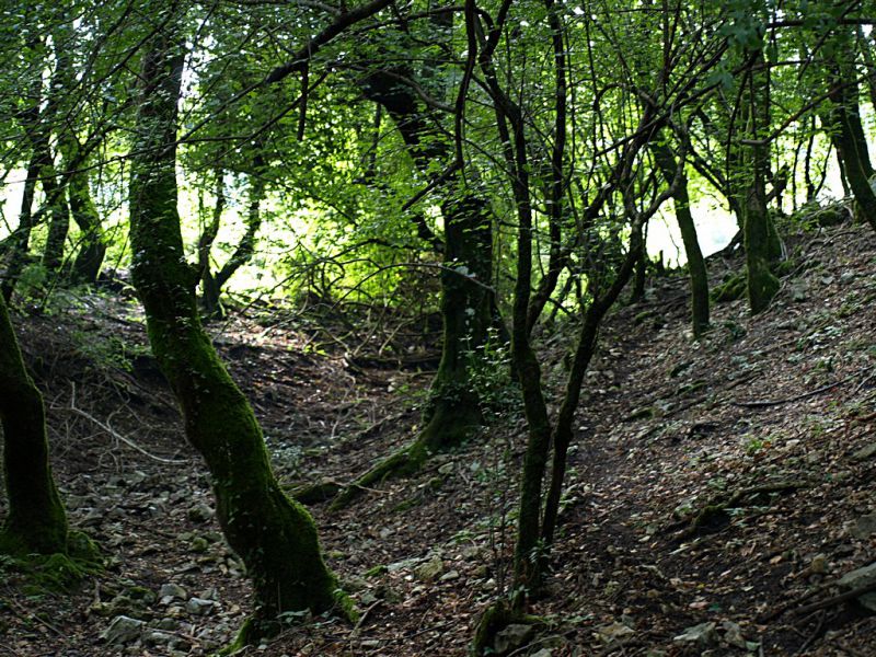 _Monte_Morra_13-VII-2010_OL038.JPG
