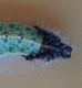 20130917_180058.jpg