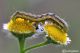 DSC_8089.jpg