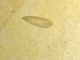 DSC_0359a.jpg