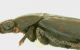 DSCN5786.JPG