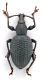 Comb1090_24crc.jpg