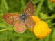 DSCN2718.JPG