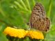 DSCN2730.JPG