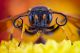 2013-10-30-13.13.48-ZS-PMax.jpg