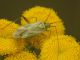 DSCF1764.JPG