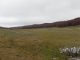 Livata_b_2-XI-2013_L26_002.JPG