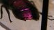 DSCF4162.JPG