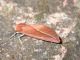 DSCN5899.JPG