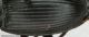 Calathus cfr fracassii 01 elitra.jpg