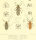 illustrationsoft09brit_0117.jpg