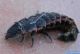 20131103_da determinare-03.jpg
