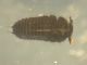 DSCN6112.JPG