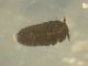 DSCN6117.JPG
