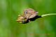 DSC_3586.JPG