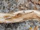 Tolfa_28-XII-2013_L26_002.JPG