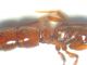 DSCN6251.JPG
