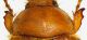 F. procerus.jpg