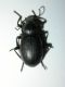 Immagine 059.jpg