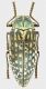 Julodis_aeneipes_Iran_Zahol_31-V-1950_37mm_grey.jpg