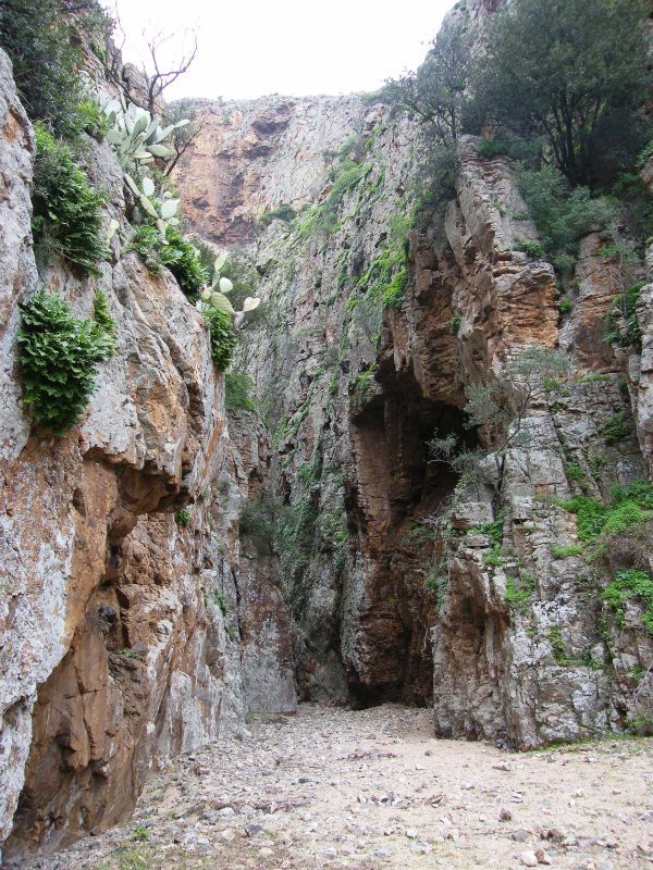 ingresso della gola dopo gli oleandri.jpg