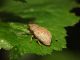 DSCF3957.JPG