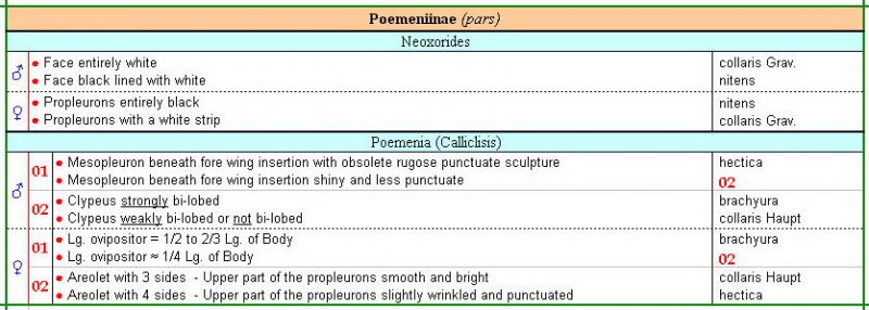 POEMENIINAE - M & F - Clés des espèces - cf. Constantineanu & Clément - Image.jpg