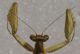 mnt picc crop capo r.jpg
