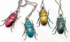 PHSS0903-2.gif