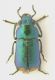 DSCN6563.JPG