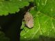 DSCF5193.JPG