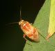 IMG_3341.jpg