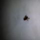 20140214_234225.jpg