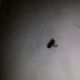 20140214_234234.jpg