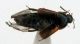 DSCN5814.JPG
