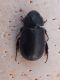DSCF5473.JPG