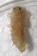 pupa 1.jpg